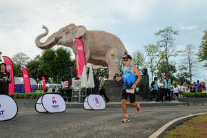 BIB: 
                            <button type="button" onclick="openModal(26529047)" class="btn btn-primary btn-sm float-right btn-popup" data-toggle="modal" data-target=".modal-high-quality">
                        <i class="fas fa-shopping-cart"></i> Add to Cart
                    </button>
                                            <button type="button" onclick="isThisMe(26529047, true)" class="btn btn-success btn-sm float-right btn-popup btn-isme hidden" data-toggle="tooltip" data-placement="bottom" title="นี่คือรูปของคุณใช่ไหม คลิกที่นี่เพื่อเอาเข้าอัลบั้ม">
                        <i class="fas fa-plus"></i> Add to album
                    </button>
                    <button type="button" onclick="isThisMe(26529047, false)" class="btn btn-warning btn-sm float-right btn-popup btn-isnotme hidden">
                        <i class="fas fa-ban"></i> Remove from album
                    </button>